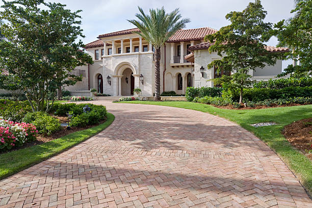 Best Decorative Driveway Pavers  in Safford, AZ